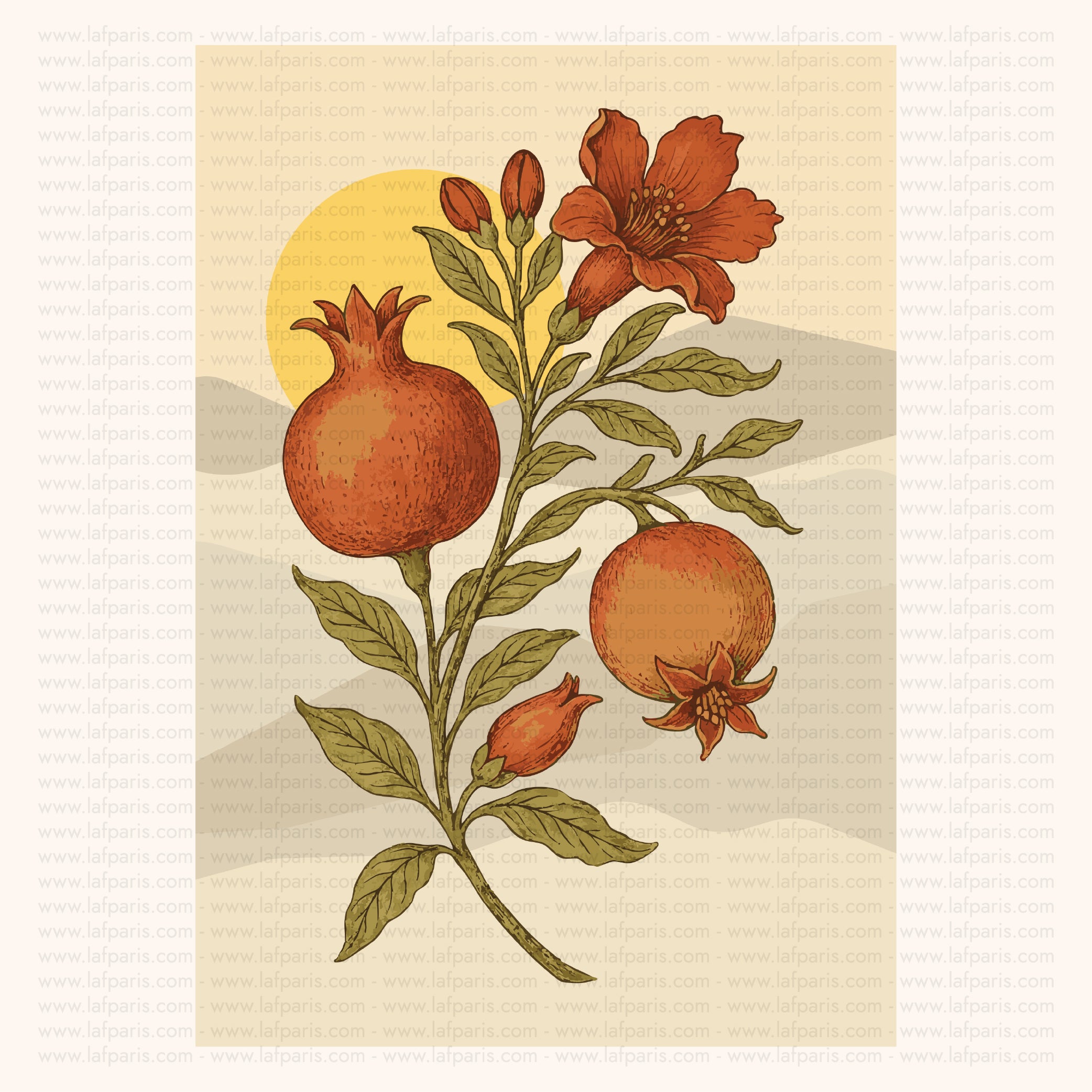 Pomegranate Poster